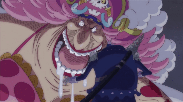 One Piece Characters Guide: A Concise Guide of the Beloved Characters ...