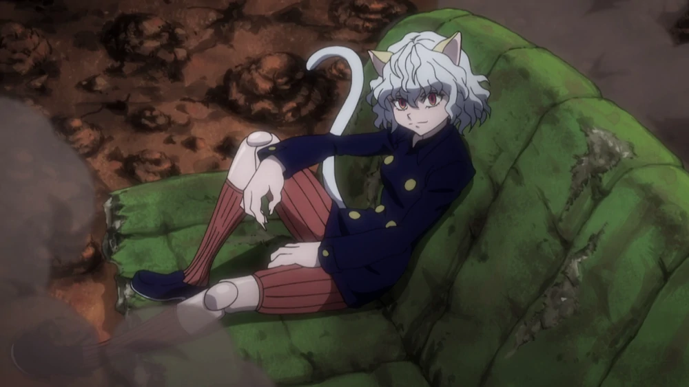 Neferpitou Appearance